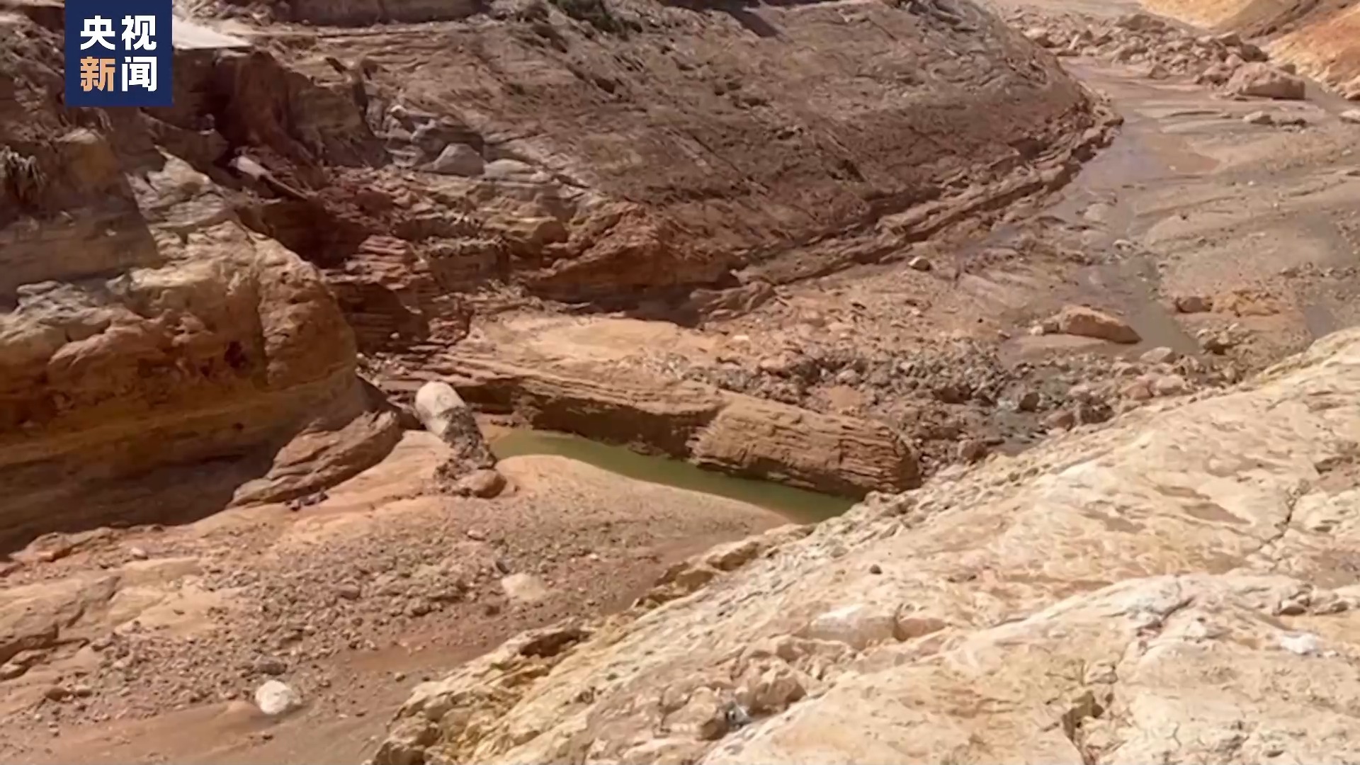 大发登录客户端